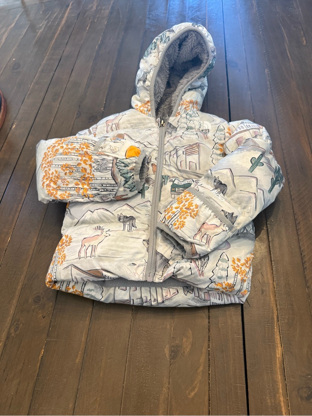 Kids Hooded Winter Puffer Jacket with Nature Print north face sz 18-24 months